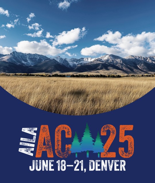 AC25 - Advanced H-1B Issues: Compliance, Extensions, and Path to Permanent Residency (Advanced)