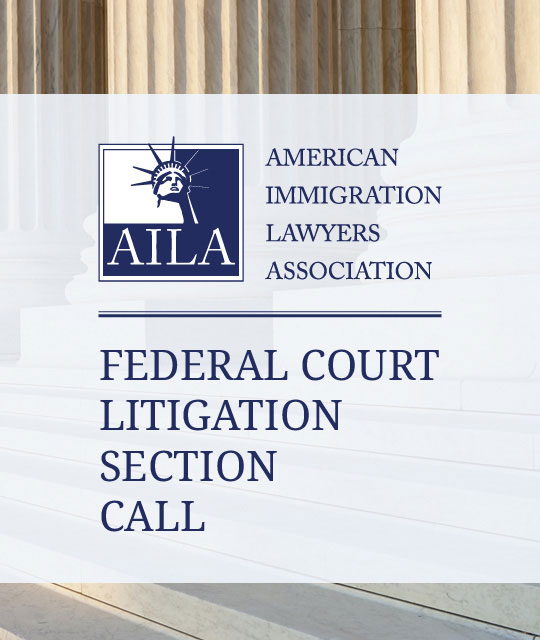 Federal Court Litigation Section Quarterly Call (October 2024)