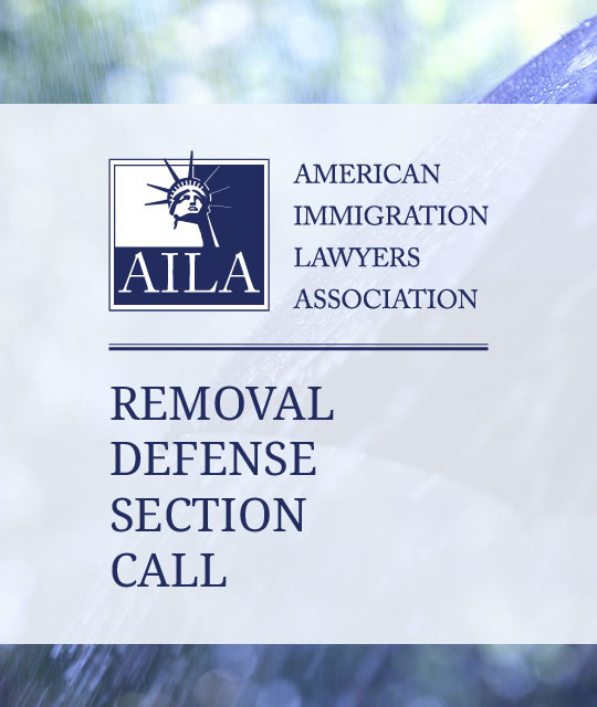 Removal Defense Section Quarterly Call (February 2024)