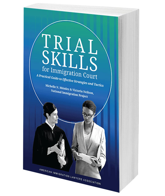 Trial Skills for Immigration Court: A Practical Guide to Effective Strategies and Tactics